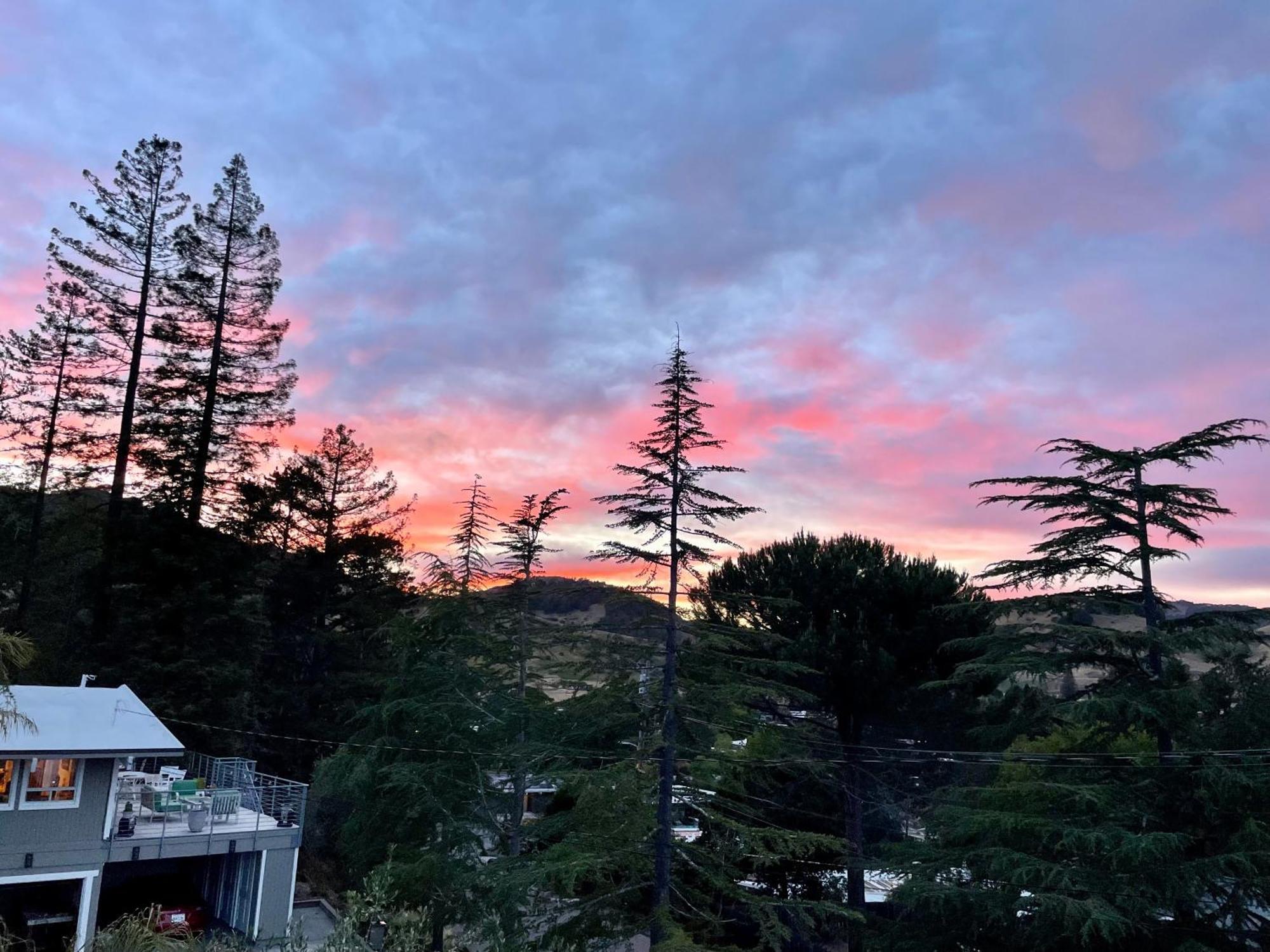 Luxury Suite With Views - San Rafael, Gateway To Sf & Wine Country 외부 사진