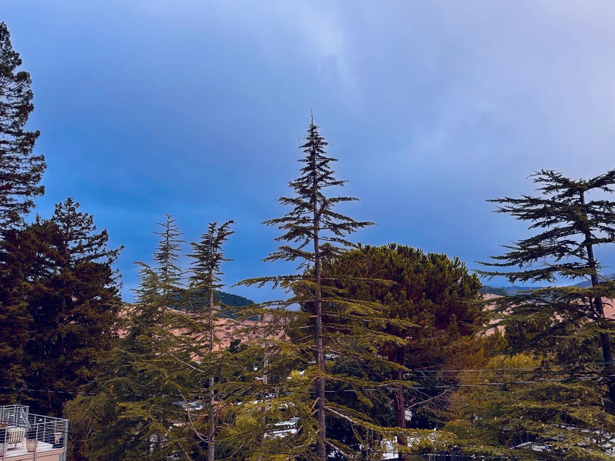 Luxury Suite With Views - San Rafael, Gateway To Sf & Wine Country 외부 사진